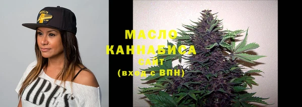 гашик Богданович