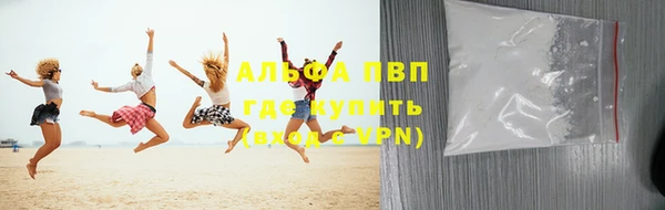 сатива Белокуриха
