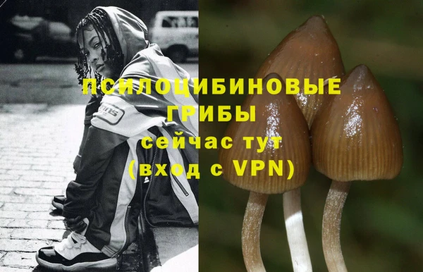 мефедрон Богородицк