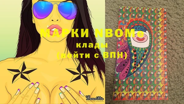 сатива Белокуриха