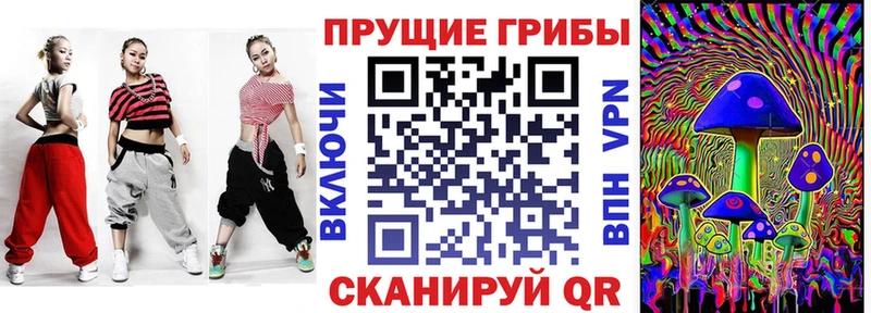 Псилоцибиновые грибы Psilocybe  где можно купить   Пестово 